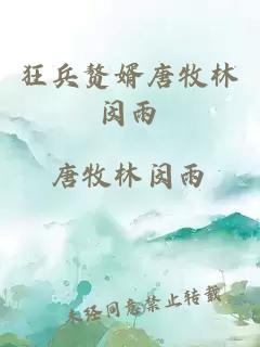 狂兵赘婿唐牧林闵雨