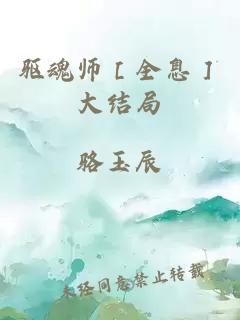 驱魂师［全息］大结局