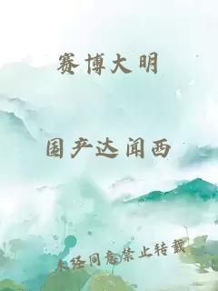 赛博大明