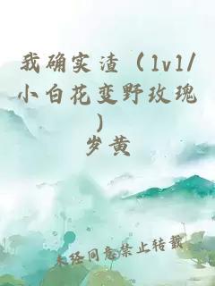 我确实渣（1v1/小白花变野玫瑰）