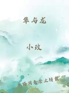 隼与龙