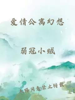 爱情公寓幻想