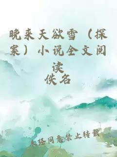 晚来天欲雪（探案）小说全文阅读