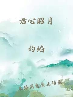 君心昭月