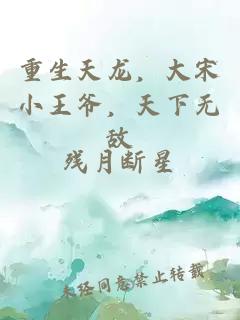 重生天龙，大宋小王爷，天下无敌