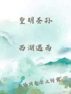 皇明圣孙