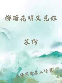 柳暗花明又见你