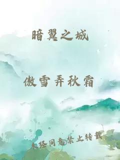 暗翼之城