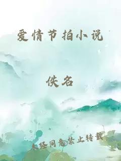 爱情节拍小说