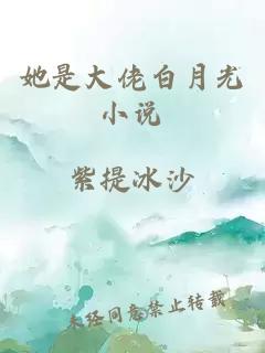 她是大佬白月光小说