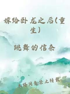 嫁给卧龙之后(重生)