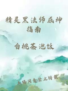 精灵黑法师成神指南