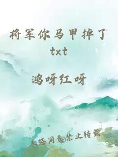 将军你马甲掉了txt