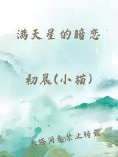 满天星的暗恋