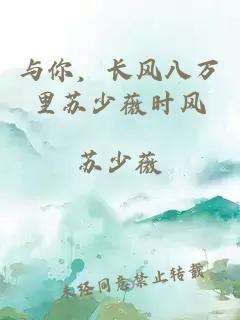 与你，长风八万里苏少薇时风