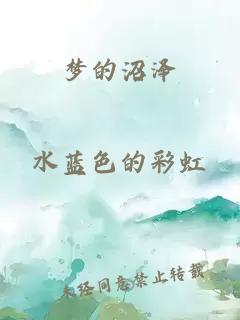 梦的沼泽