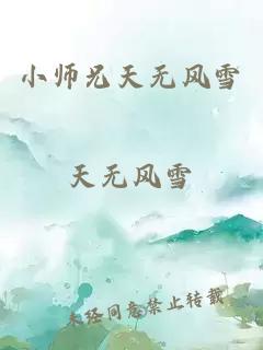 小师兄天无风雪