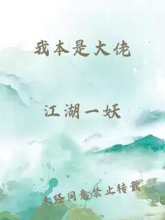 我本是大佬