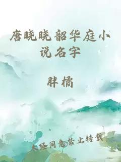 唐晓晓韶华庭小说名字